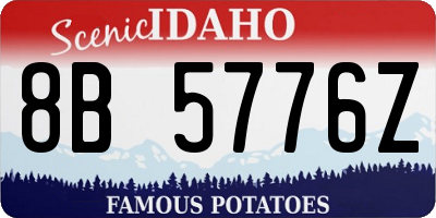 ID license plate 8B5776Z