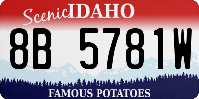 ID license plate 8B5781W