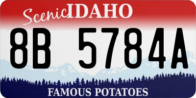 ID license plate 8B5784A