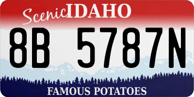 ID license plate 8B5787N