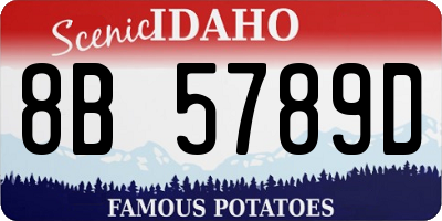 ID license plate 8B5789D