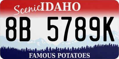 ID license plate 8B5789K