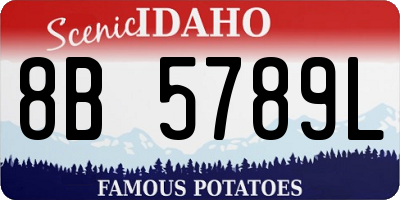 ID license plate 8B5789L