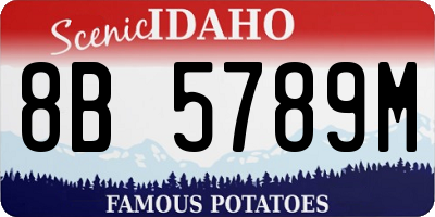 ID license plate 8B5789M