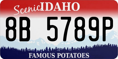 ID license plate 8B5789P