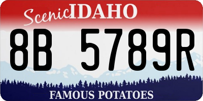 ID license plate 8B5789R