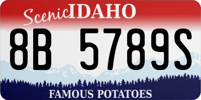 ID license plate 8B5789S