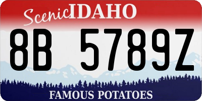 ID license plate 8B5789Z