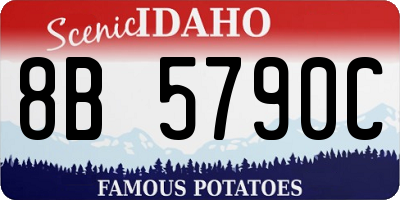 ID license plate 8B5790C