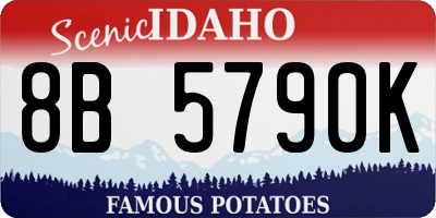 ID license plate 8B5790K