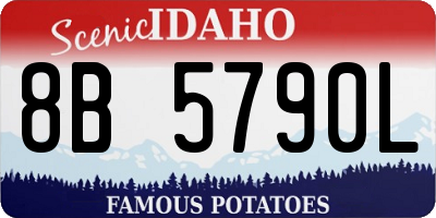 ID license plate 8B5790L
