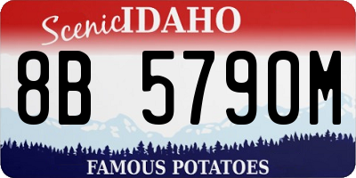 ID license plate 8B5790M