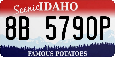 ID license plate 8B5790P
