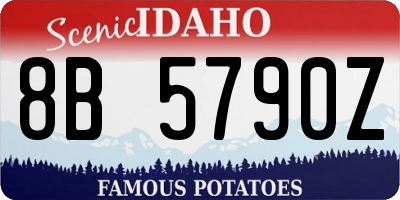 ID license plate 8B5790Z