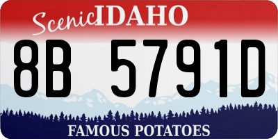 ID license plate 8B5791D