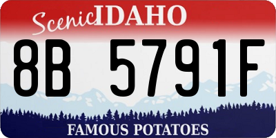 ID license plate 8B5791F