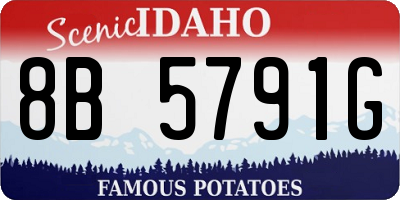 ID license plate 8B5791G