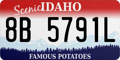 ID license plate 8B5791L
