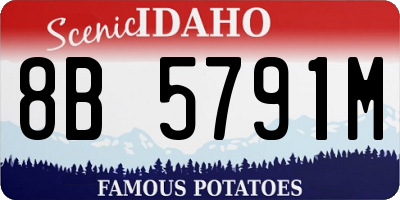 ID license plate 8B5791M