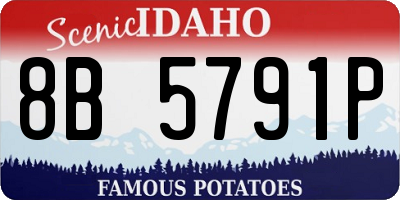 ID license plate 8B5791P