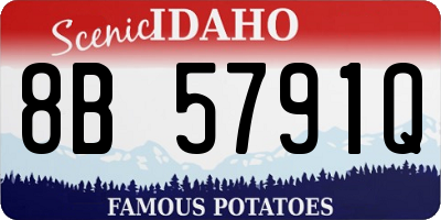ID license plate 8B5791Q