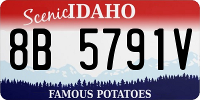 ID license plate 8B5791V