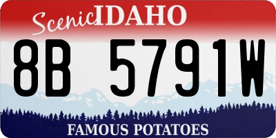 ID license plate 8B5791W