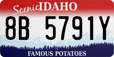 ID license plate 8B5791Y
