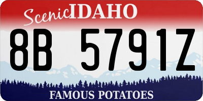 ID license plate 8B5791Z