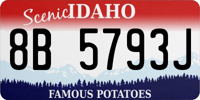 ID license plate 8B5793J