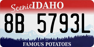 ID license plate 8B5793L