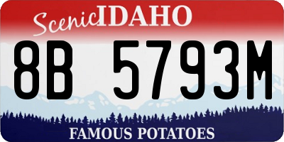 ID license plate 8B5793M