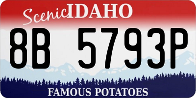 ID license plate 8B5793P