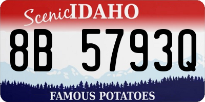ID license plate 8B5793Q