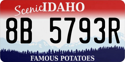 ID license plate 8B5793R