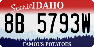 ID license plate 8B5793W