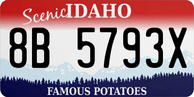 ID license plate 8B5793X