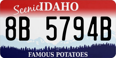 ID license plate 8B5794B