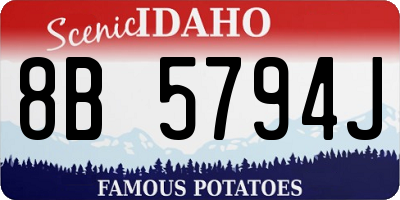 ID license plate 8B5794J