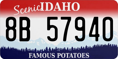 ID license plate 8B5794O