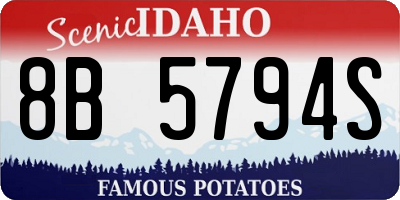ID license plate 8B5794S