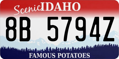 ID license plate 8B5794Z