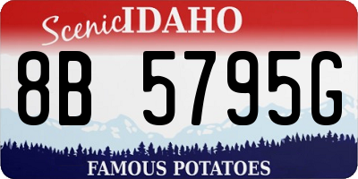 ID license plate 8B5795G