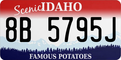 ID license plate 8B5795J