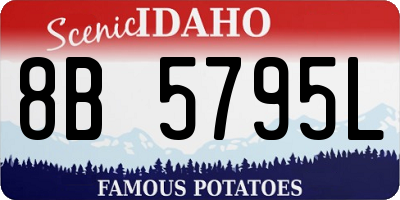 ID license plate 8B5795L