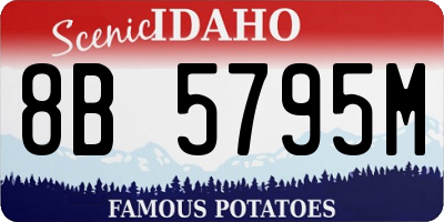 ID license plate 8B5795M
