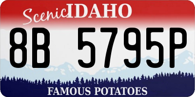 ID license plate 8B5795P