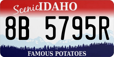 ID license plate 8B5795R