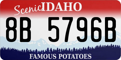 ID license plate 8B5796B