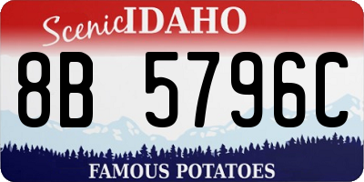 ID license plate 8B5796C